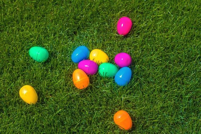 eggs